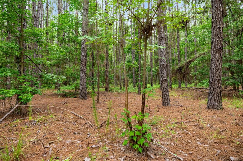 Active With Contract: $495,000 (55.00 acres)