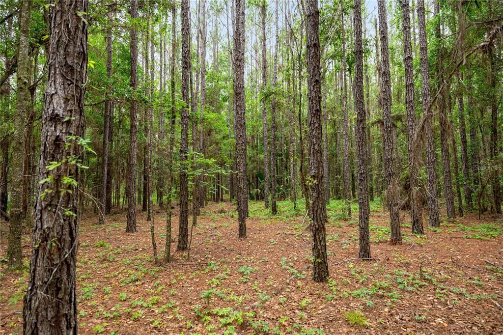 Active With Contract: $495,000 (55.00 acres)