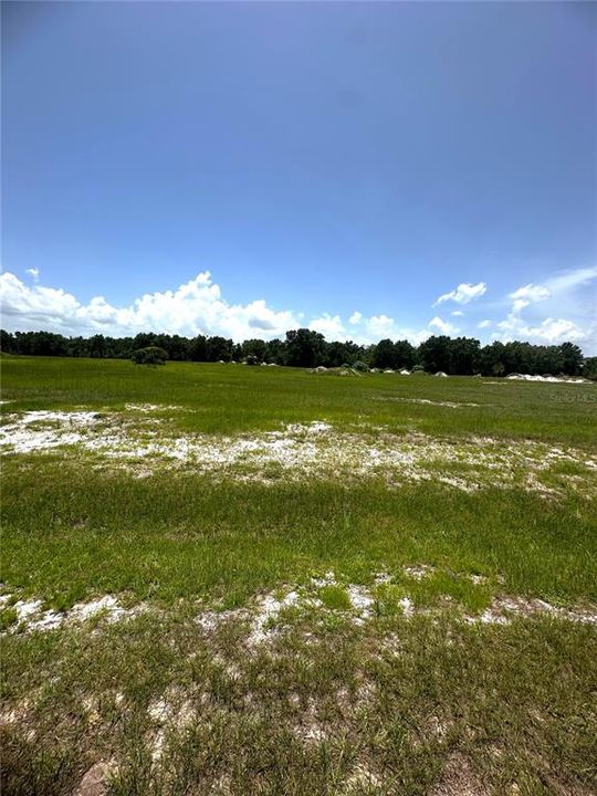 Recently Sold: $160,000 (1.08 acres)