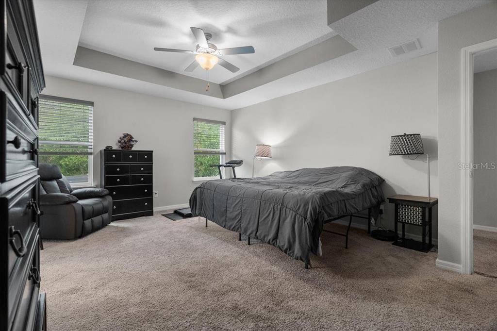 Primary Bedroom with tray ceiling