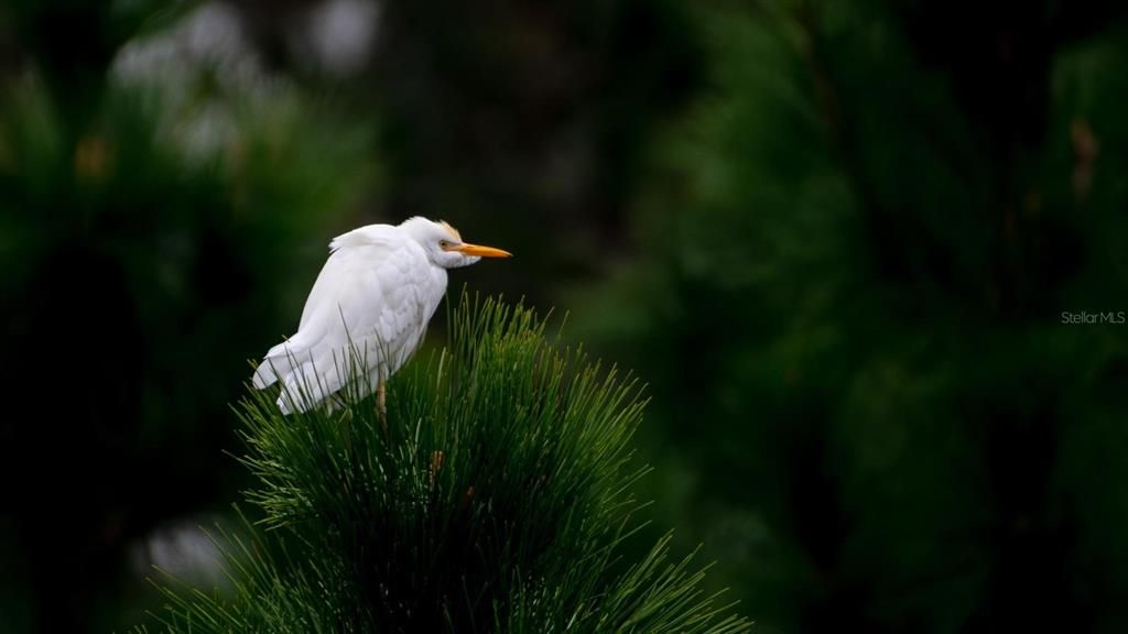 待售: $649,500 (3 贝兹, 2 浴室, 1921 平方英尺)