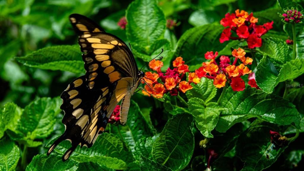 待售: $649,500 (3 贝兹, 2 浴室, 1921 平方英尺)