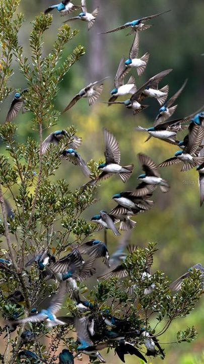 待售: $649,500 (3 贝兹, 2 浴室, 1921 平方英尺)