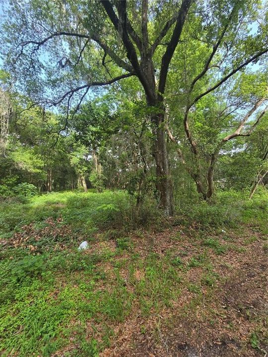 待售: $199,900 (1.60 acres)