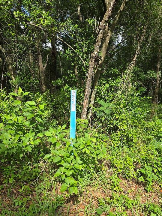 待售: $199,900 (1.60 acres)