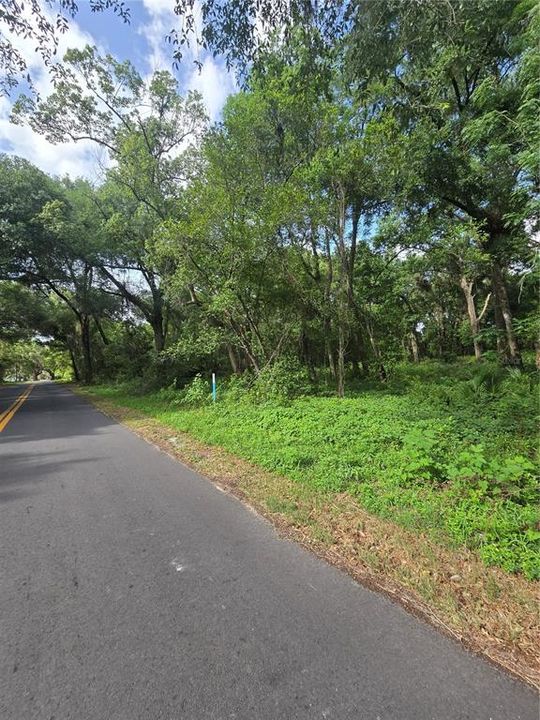 待售: $199,900 (1.60 acres)