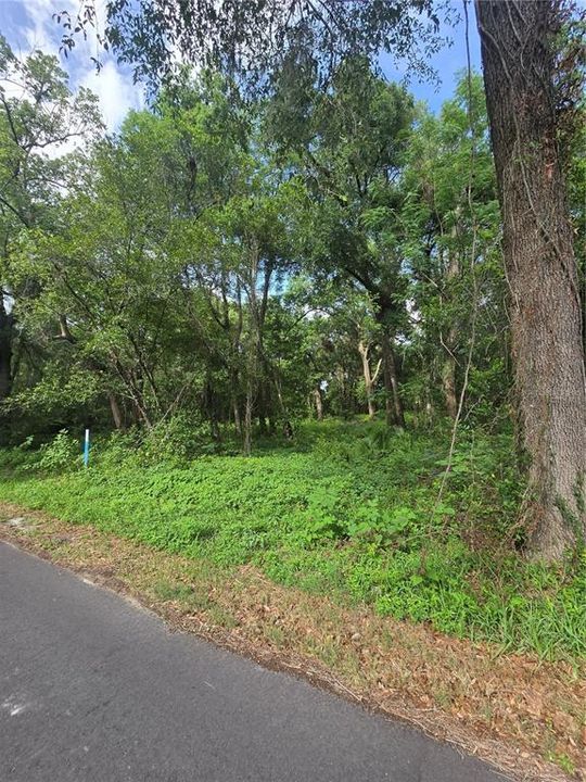 待售: $199,900 (1.60 acres)