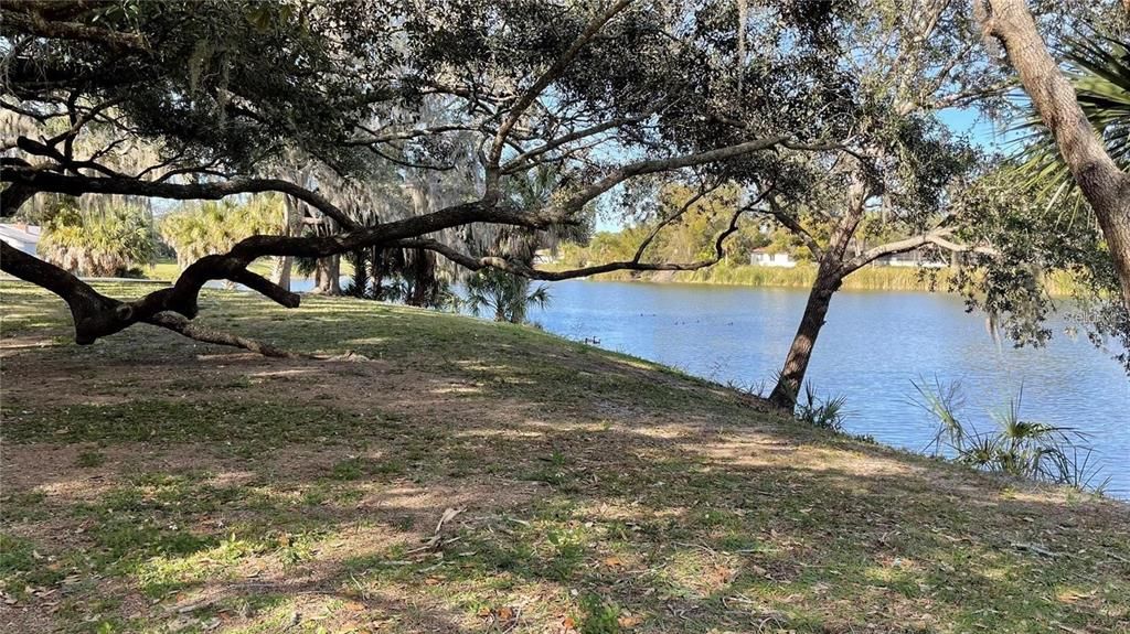 Под контрактом: $2,200 (3 спален, 2 ванн, 2154 Квадратных фут)