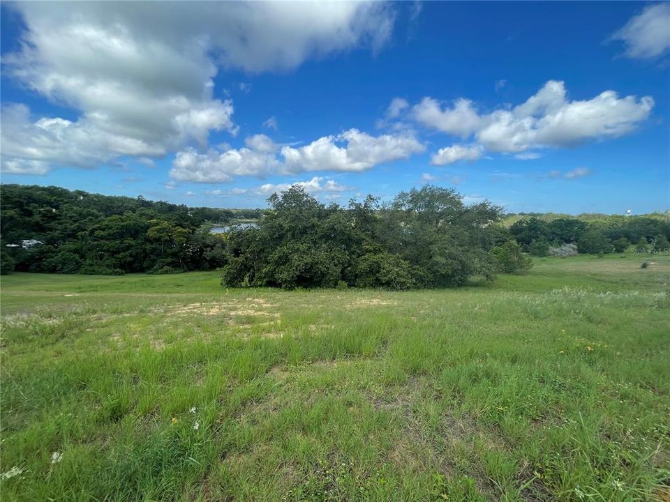 待售: $185,000 (1.77 acres)