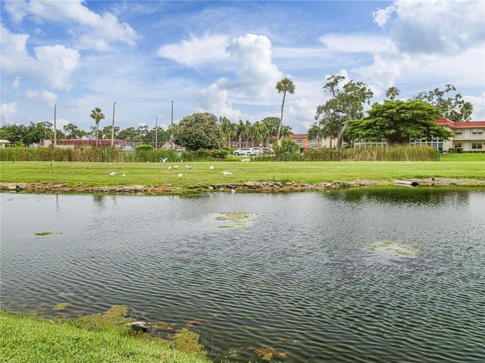 En Venta: $140,000 (1 camas, 1 baños, 630 Pies cuadrados)