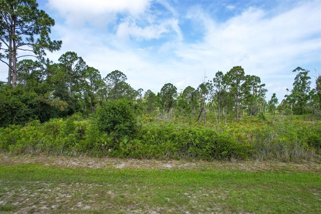 待售: $139,900 (5.30 acres)