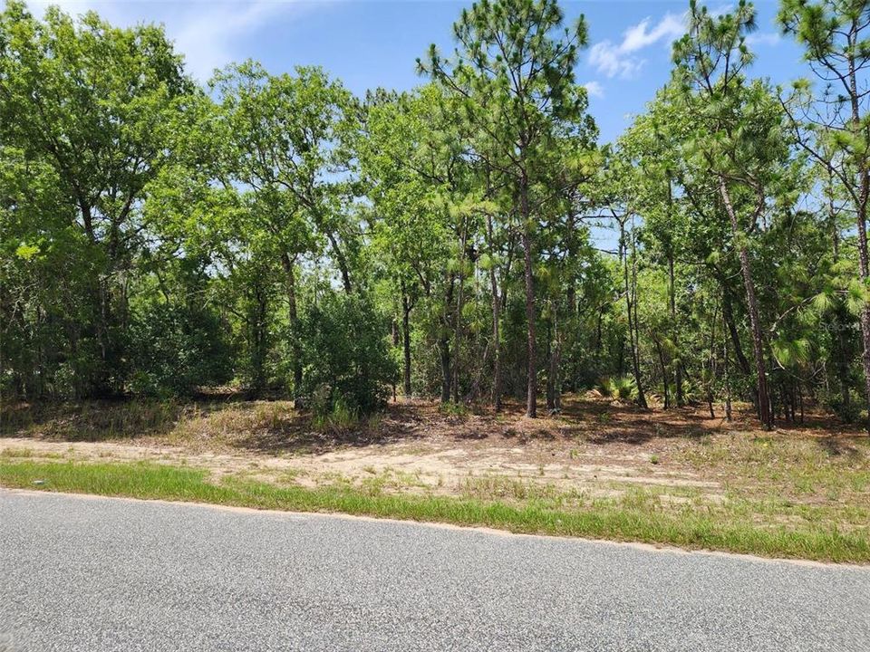 Recently Sold: $31,000 (0.23 acres)