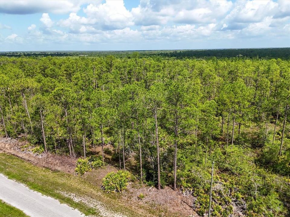 На продажу: $35,000 (1.73 acres)