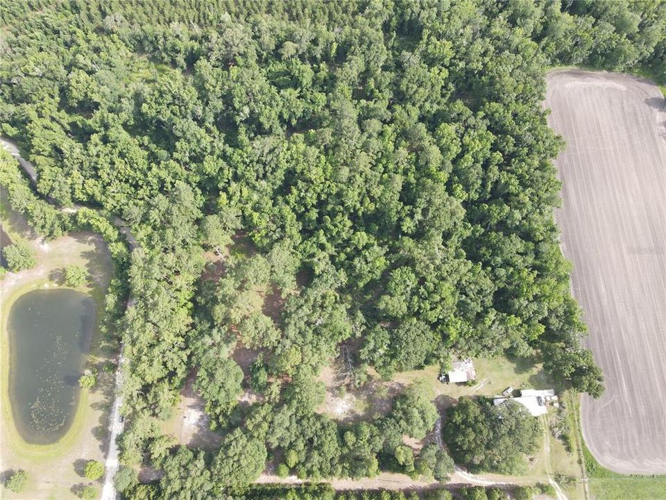 For Sale: $175,000 (6.90 acres)