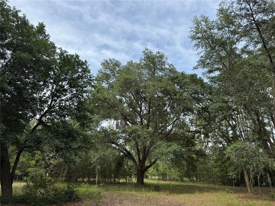 For Sale: $175,000 (6.90 acres)