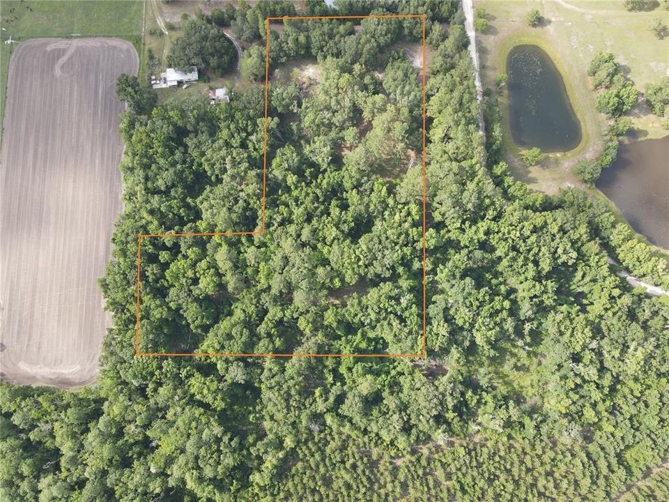 For Sale: $175,000 (6.90 acres)