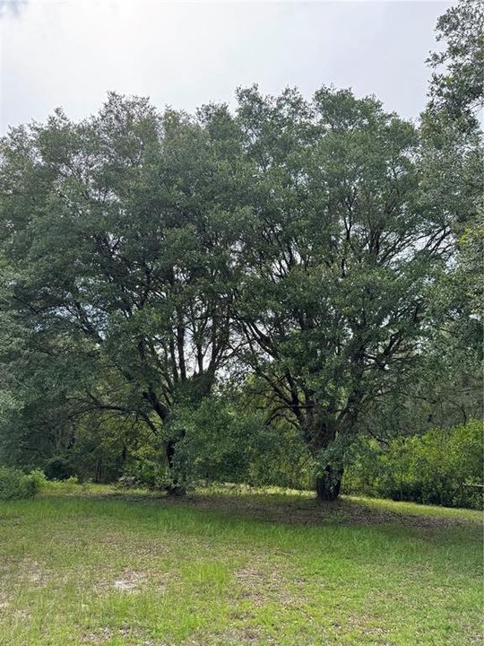 For Sale: $175,000 (6.90 acres)