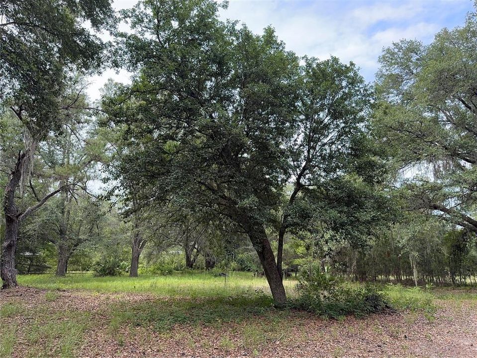 For Sale: $175,000 (6.90 acres)