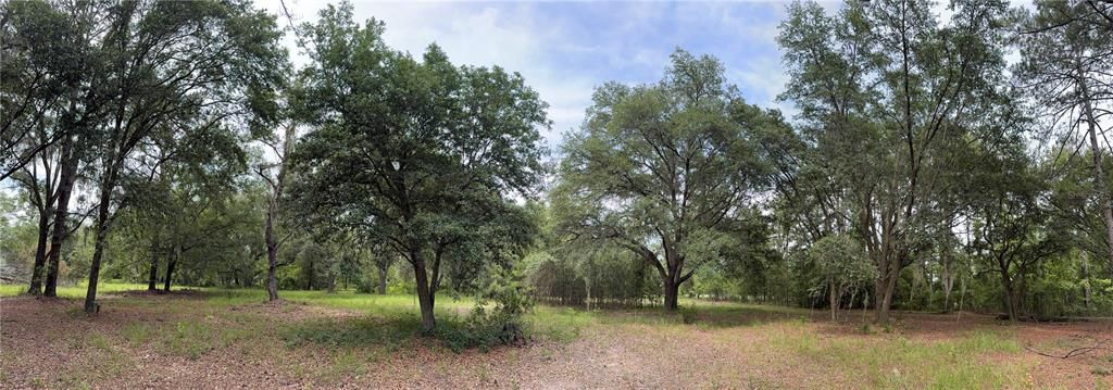 For Sale: $175,000 (6.90 acres)