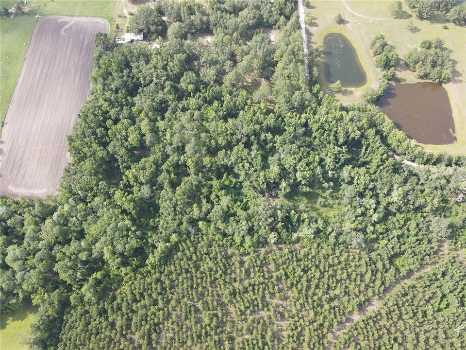 For Sale: $175,000 (6.90 acres)