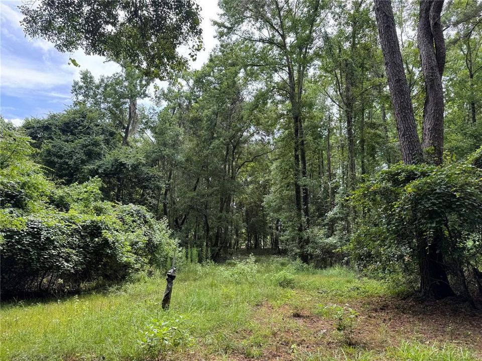 For Sale: $175,000 (6.90 acres)