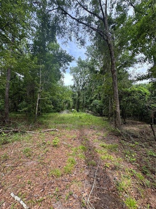 For Sale: $175,000 (6.90 acres)