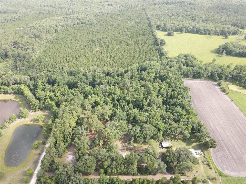 For Sale: $175,000 (6.90 acres)