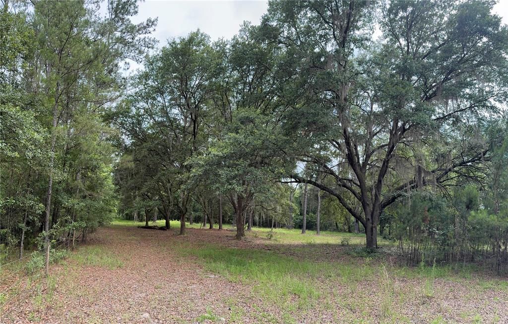 For Sale: $175,000 (6.90 acres)