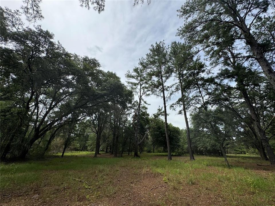 For Sale: $175,000 (6.90 acres)