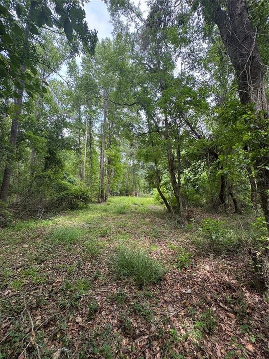 For Sale: $175,000 (6.90 acres)