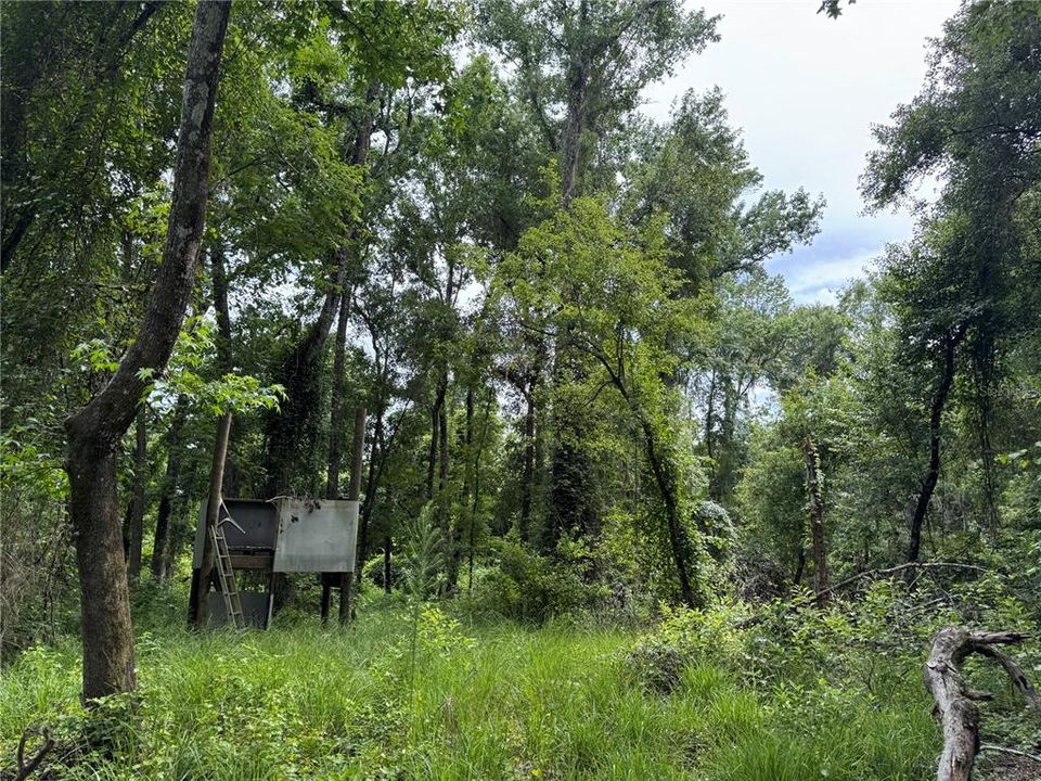 For Sale: $175,000 (6.90 acres)