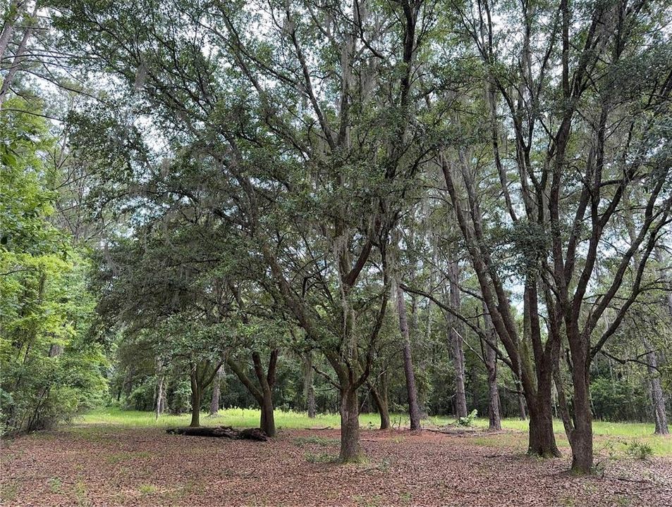 For Sale: $175,000 (6.90 acres)