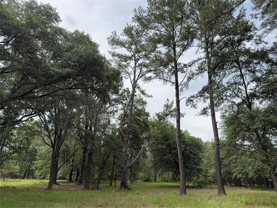 For Sale: $175,000 (6.90 acres)