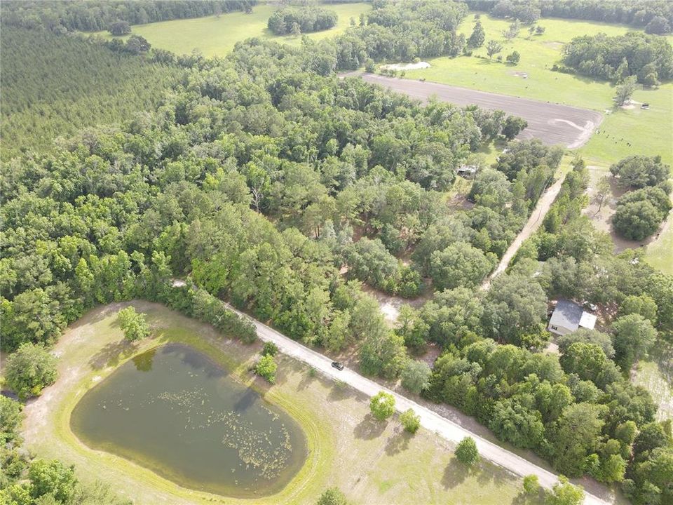 For Sale: $175,000 (6.90 acres)