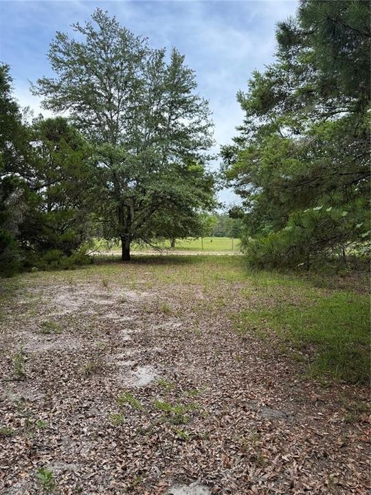 For Sale: $175,000 (6.90 acres)