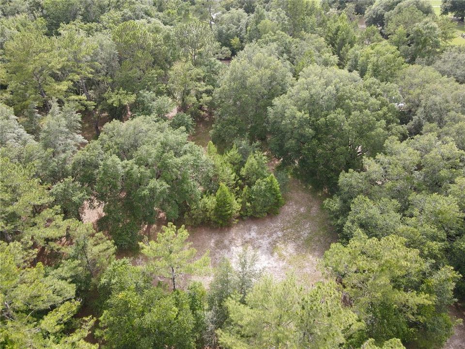 For Sale: $175,000 (6.90 acres)