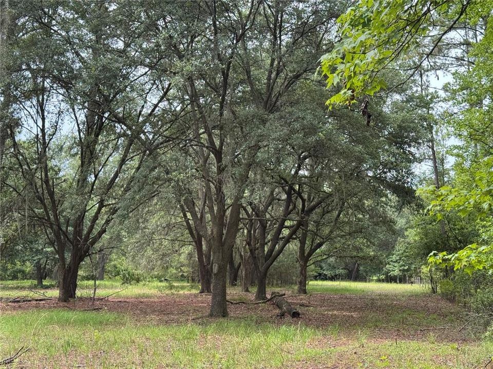 For Sale: $175,000 (6.90 acres)