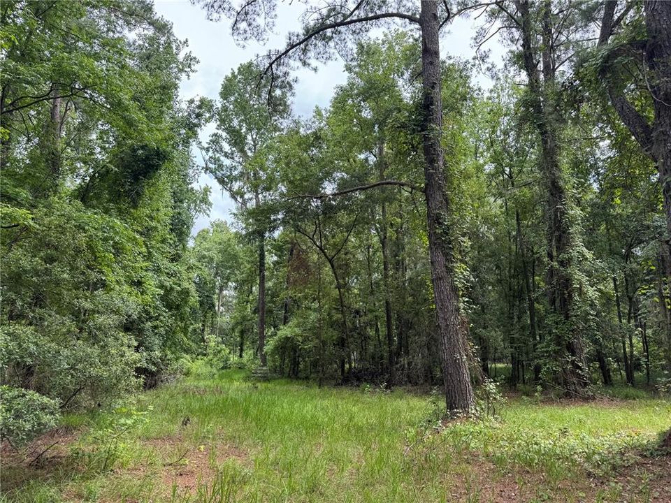 For Sale: $175,000 (6.90 acres)