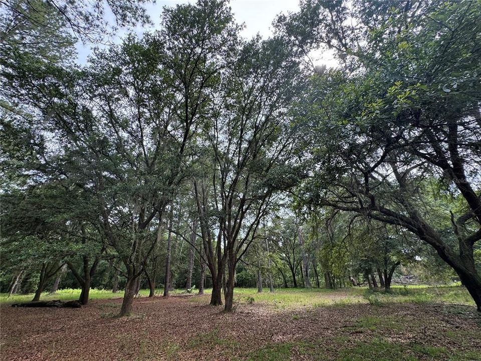 For Sale: $175,000 (6.90 acres)