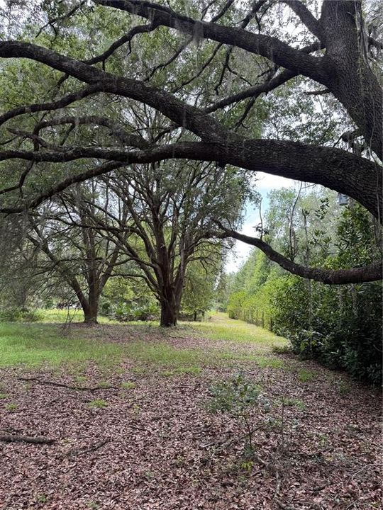 For Sale: $175,000 (6.90 acres)