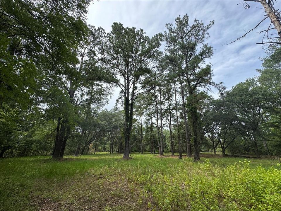 For Sale: $175,000 (6.90 acres)