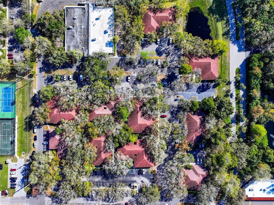 На продажу: $6,000 (0 спален, 0 ванн, 256 Квадратных фут)