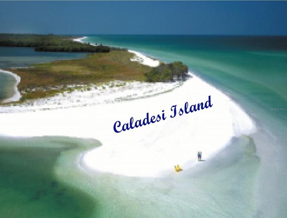 Active With Contract: $925,000 (5 beds, 4 baths, 2624 Square Feet)