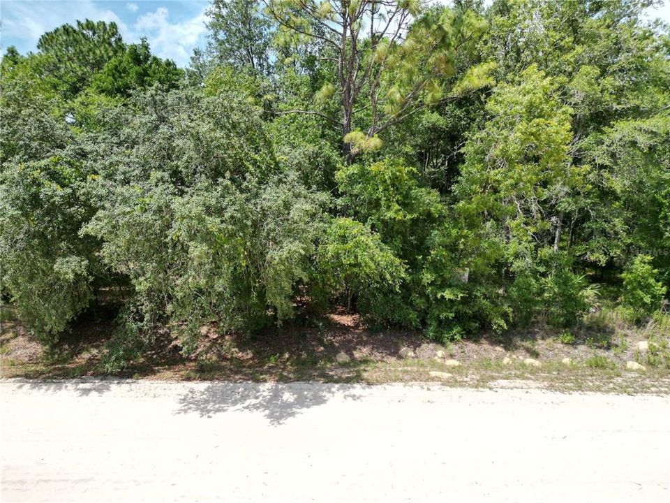 For Sale: $23,000 (0.25 acres)