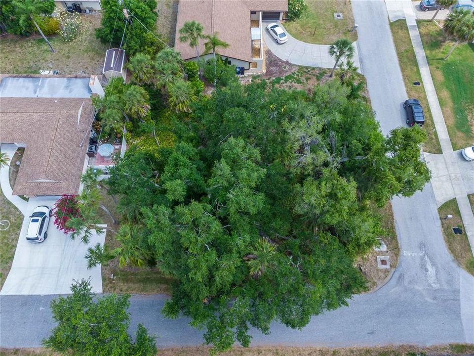 待售: $79,000 (0.18 acres)