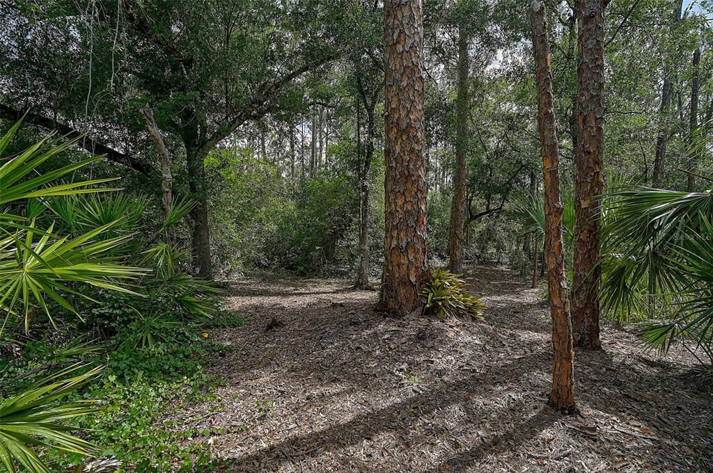 Active With Contract: $524,000 (2 beds, 2 baths, 1536 Square Feet)