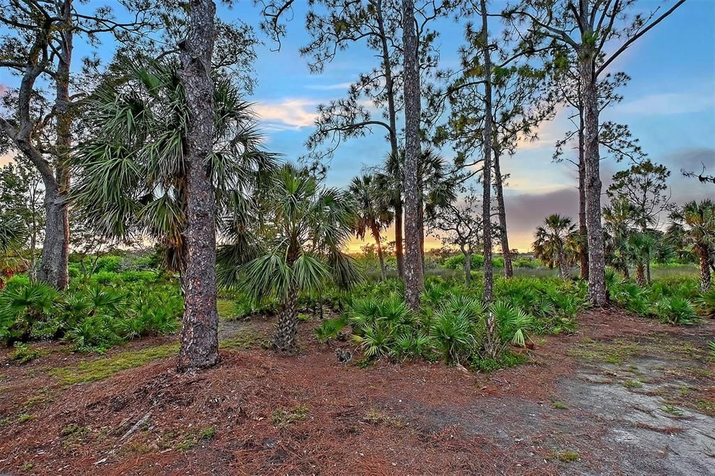 待售: $1,150,000 (3 贝兹, 2 浴室, 2905 平方英尺)