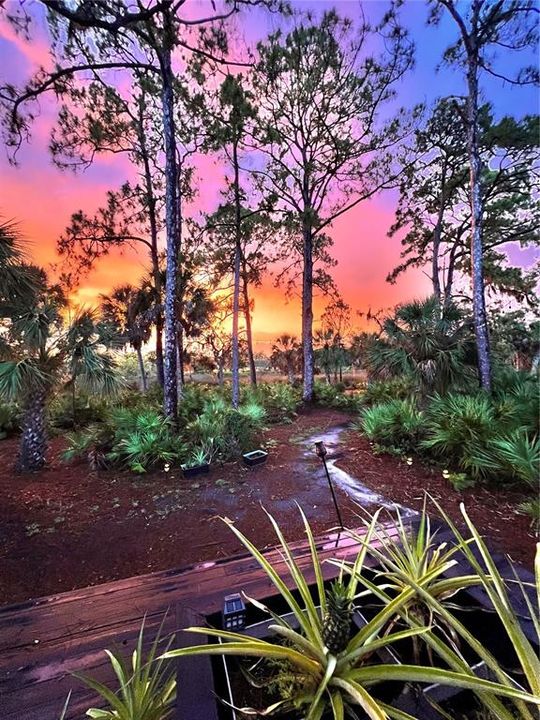 待售: $1,150,000 (3 贝兹, 2 浴室, 2905 平方英尺)