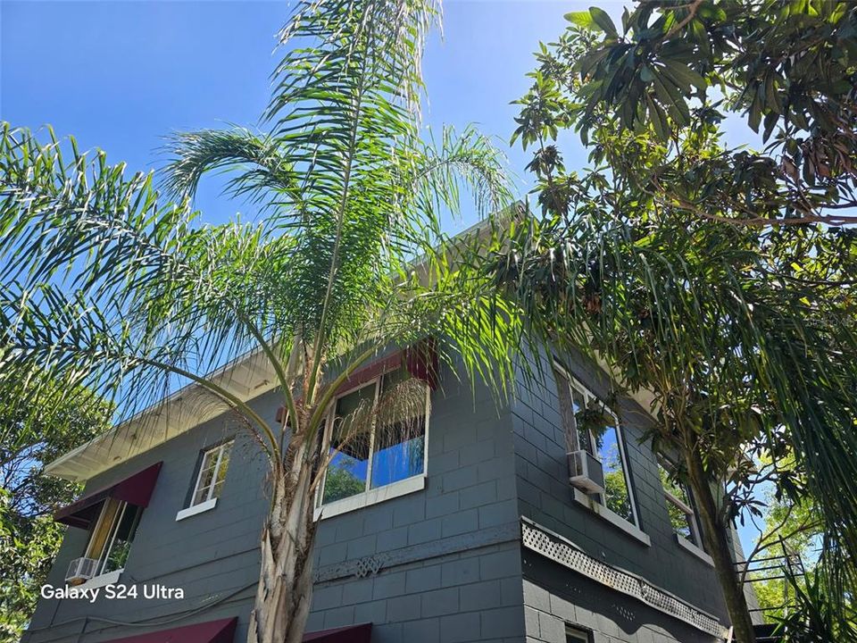 For Rent: $1,300 (1 beds, 1 baths, 640 Square Feet)