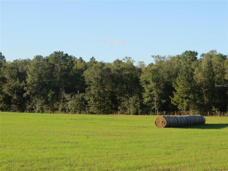 Недавно продано: $275,900 (12.57 acres)